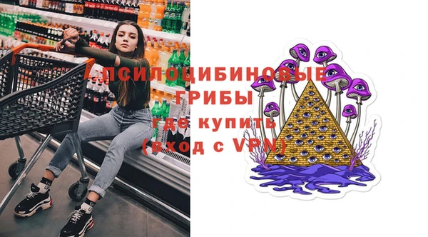 ГАЛЛЮЦИНОГЕННЫЕ ГРИБЫ Бугульма